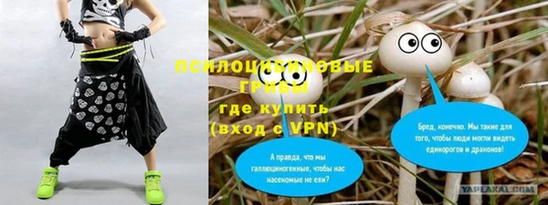 метамфетамин Белокуриха