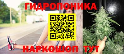 jwh Славгород
