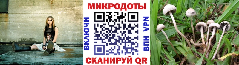 как найти закладки  Саяногорск  Галлюциногенные грибы Psilocybe 