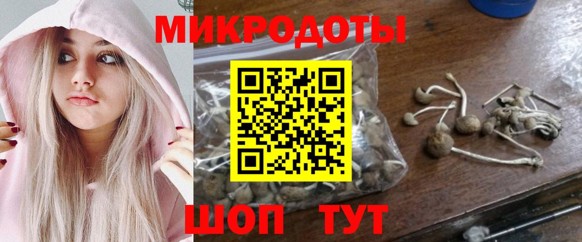 Псилоцибиновые грибы MAGIC MUSHROOMS Саяногорск