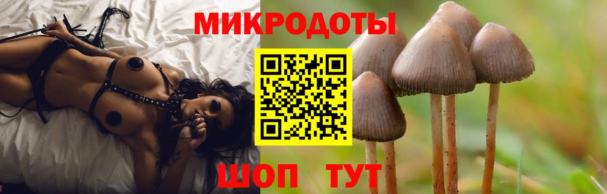 Саяногорск  купить наркотики сайты  Вход с VPN  Псилоцибиновые грибы Psilocybine cubensis 